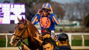 Paladin, Risen Star Stakes, Fair Grounds, ABR, America's Best Racing, Triple Crown, horse racing