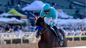 Hughes, Bob Baffert, Santa Anita Park, American Pharoah Stakes