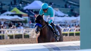 Hughes, Bob Baffert, Rookie Rankings, Kentucky Derby, Triple Crown, horse racing, America's Best Racing, ABR