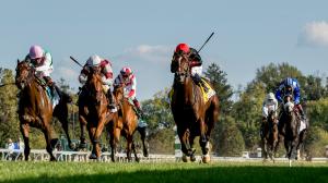 Noel’s Weekend Winners: Turf Stakes Selections at Aqueduct, Keeneland