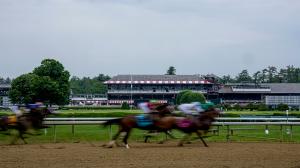 Betting a Flashy Maiden Winner in the Hopeful Stakes