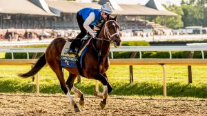 Commandment, Belmont Stakes, Triple Crown, Saratoga Race Course, horse racing, America's Best Racing, ABR