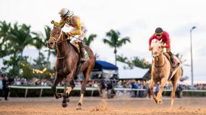 Pegasus World Cup, Skippylongstocking, White Abarrio, Gulfstream Park, America's Best Racing, ABR, horse racing