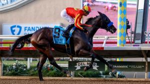 Rookie Rankings: Five 2-Year-Olds You Need to Know From the 2026 Del Mar Summer Meet