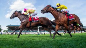 Maker’s Mark Mile Stakes, Zulu Kingdom, Chad Brown, trainer, Flavien Prat, jockey, One Stripe, Notable Speech, Rhetorical, Charles Appleby, William Buick, Breeders’ Cup, turf, Hall of Fame, career, horse racing, ABR
