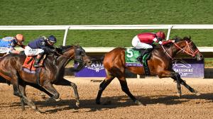 Ten Interesting Facts About the 2026 Breeders’ Cup World Championships