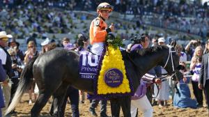 After Season of Setbacks, Shisospicy Targets a Repeat Win in Breeders' Cup Turf Sprint