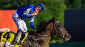 Sovereignty. 2025 Travers Stakes, Saratoga Race Course, Midsummer Derby, Bill Mott