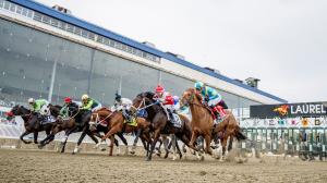 Laurel Park, 2026 Preakness Stakes, Bull by the Horns, longshots
