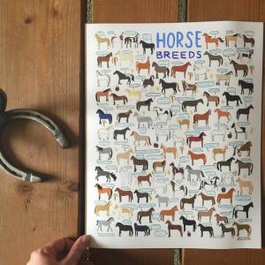 <a href="https://www.etsy.com/listing/565780647/horse-breeds-art-print-8x10-11x14-18x24?gpla=1&gao=1&&utm_source=google&utm_medium=cpc&utm_campaign=shopping_us_c-art_and_collectibles-prints-digital_prints&utm_custom1=bd0fe71b-4623-4f9f-9424-cdf06b9826f6&utm_conten">10. Wall art</a>