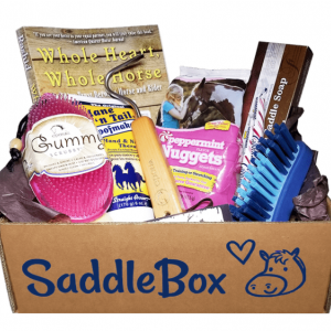 <a href="https://www.saddlebox.net/">11. A subscription box for the horseback rider</a>