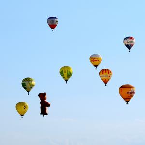 Hot Air Balloon Festival (Distance from Pimlico: 18 miles, 24 minutes)