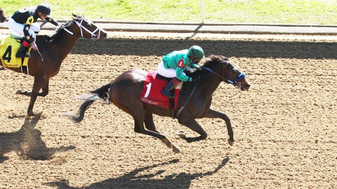 Falstaff Racing Flagstaff | America's Best Racing