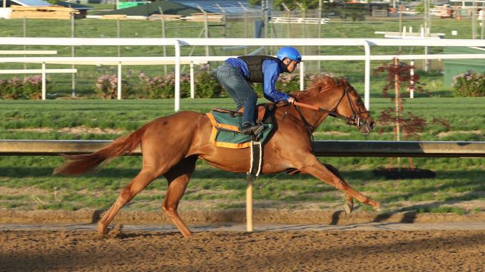 Talpit Raced Tapit Jenallie | America's Best Racing