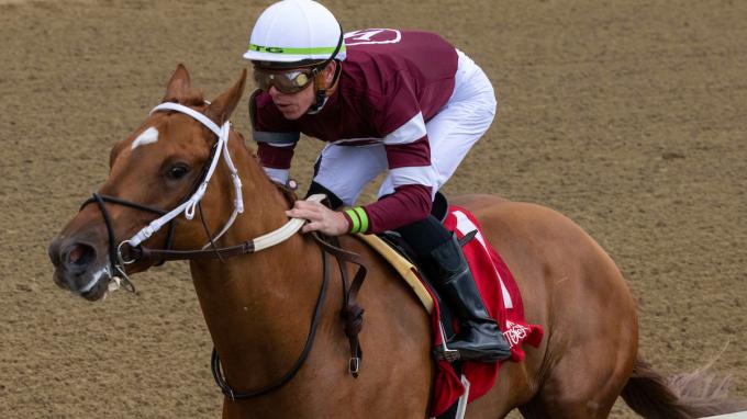 Risk It | America's Best Racing