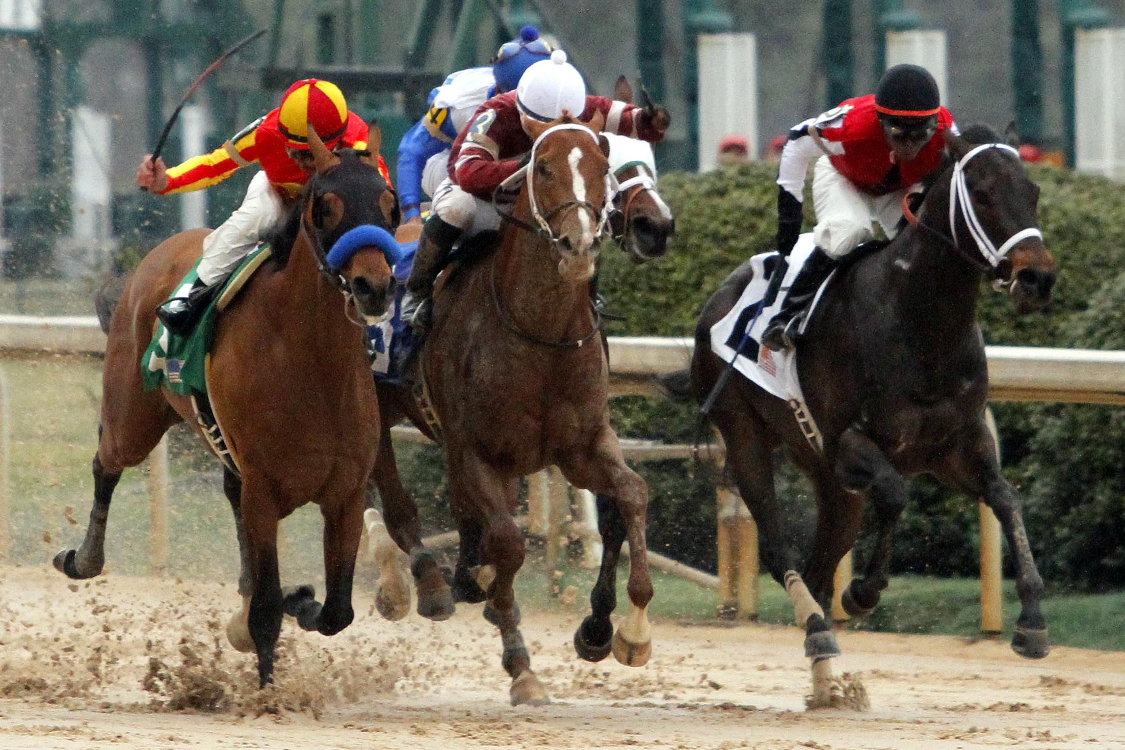 Racing 101: Off-Track Record | America's Best Racing
