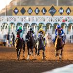 2025 Native Diver Stakes at a Glance