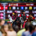 ABR Sunday Selections: Full-Card Picks for August 17 at Saratoga