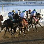 Balboa Can Land Knockout Punch in 2026 Jerome Stakes