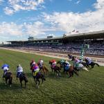 Brad Anderson Wins Breeders' Cup Betting Challenge
