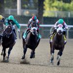 2026 Vosburgh Stakes at a Glance