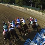 2026 Champagne Stakes at a Glance