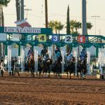 Superbly Bred Provenance Can Take Next Step in Los Alamitos Futurity