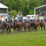 Selections and Analysis for the 2025 Melbourne Cup