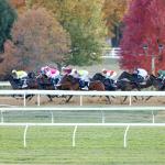 2026 Raven Run Stakes at a Glance