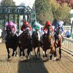 2026 Juddmonte Spinster Stakes at a Glance