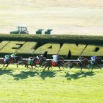 2026 Sycamore Stakes at a Glance