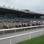 Where to Watch/Listen: Horse Racing Coverage Aug. 13-17