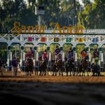2025 American Pharoah Stakes at a Glance