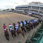 Pegasus World Cup Joins Breeders’ Cup Challenge Series for 2026