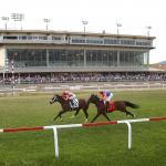 Exacta and Trifecta Betting Strategies for the 2026 Penn Mile Stakes