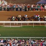 Kentucky Derby Hot Takes: Which Runners Will Surprise?