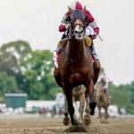A Half-Dozen Important Trends to Know Before Betting the 2026 Haskell Stakes