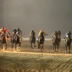 2025 Remington Springboard Mile at a Glance