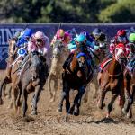 Ten Key Historical Trends to Know Before Betting the 2025 Breeders’ Cup Classic