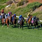 Ten Interesting Facts About the 2025 Breeders’ Cup World Championships