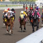 Where to Watch/Listen: Horse Racing Coverage Aug. 12-16