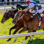 Noel’s Weekend Winners: Value Plays for Huge Saturday at Fair Grounds  