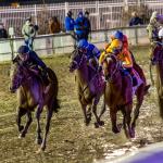 2026 Risen Star Stakes Cheat Sheet