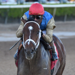 2026 Florida Derby Cheat Sheet