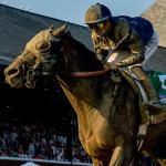 2025 Jockey Club Gold Cup Cheat Sheet