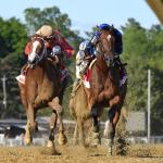 Deep Suburban Stakes Field Offers Multiple Options for a Big Payday