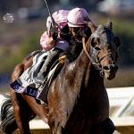 2025 Whitney Stakes Cheat Sheet