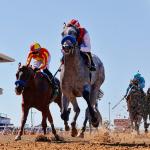 Rookie Rankings: Top Five 2-Year-Olds to Watch from Del Mar’s Summer Meet