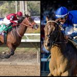 Meet the Finalists for the 2025 Resolute Racing Eclipse Awards