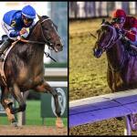 SLIDESHOW: Meet the 2025 Travers Stakes Contenders